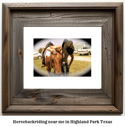 horseback riding near me in Highland Park, Texas